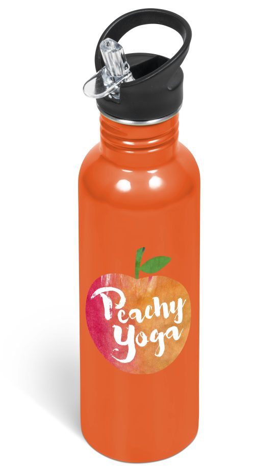 Ventura Stainless Steel Water Bottle – 750ml - Orange